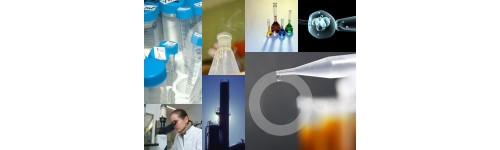 Quitamanchas Percloro